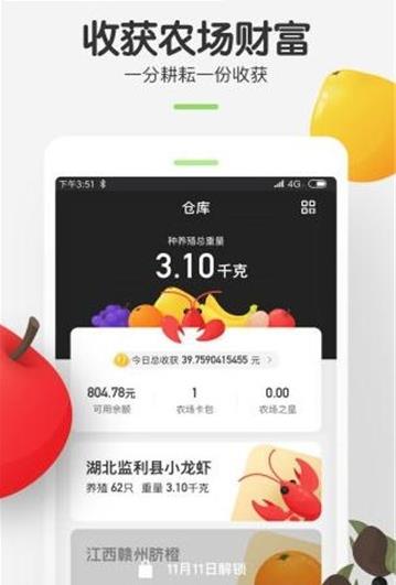 孔雀农场