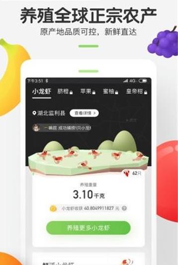 孔雀农场
