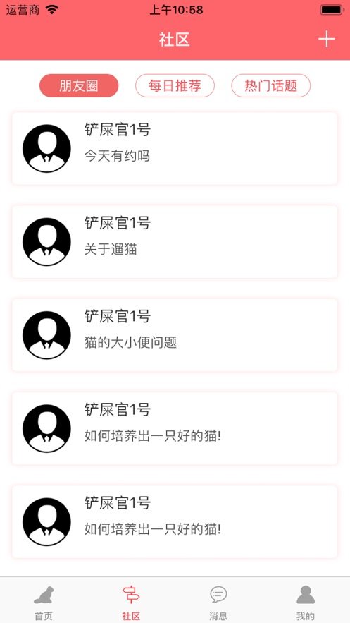 亲爱的猫咪