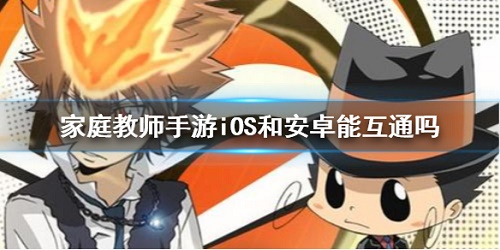 家庭教師手游IOS和安卓互通嗎 家庭教師手游IOS和安卓可以一起玩嗎