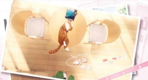梦间集天鹅座猫咪玩法攻略 梦间集天鹅座怎么引起猫咪的注重