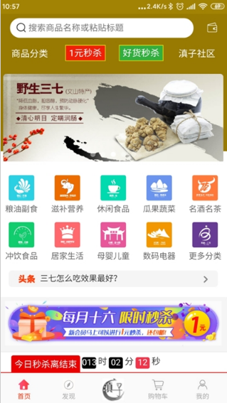 滇子