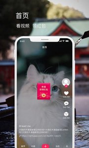 发布者