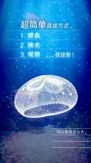 養(yǎng)育水母的治愈游戲