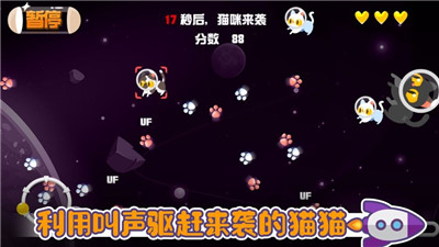 猫狗大战