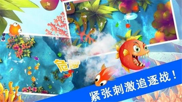 鲨鱼风暴