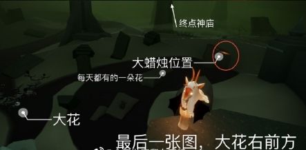 光遇9月7日大蠟燭位置一覽 9月7日大蠟燭在哪里