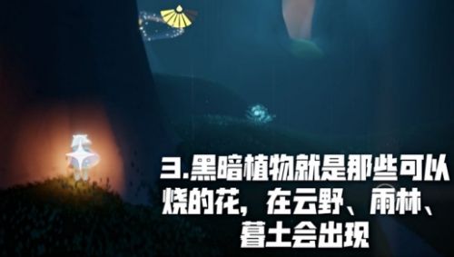 光遇9月10日任務(wù)完成方法分享 9月10日任務(wù)攻略介紹