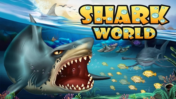 鲨鱼世界Shark World