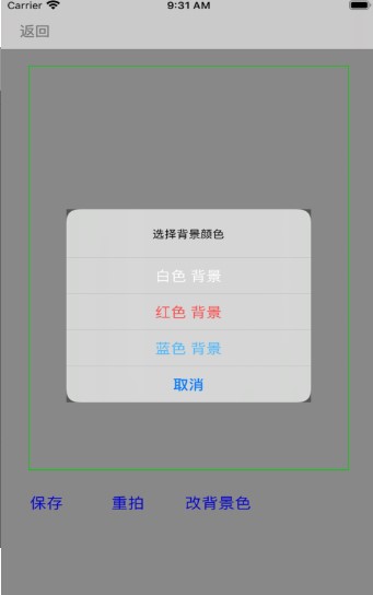 寸照小白