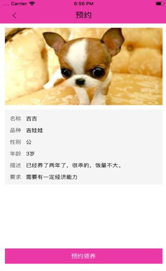 喔爱萌宠