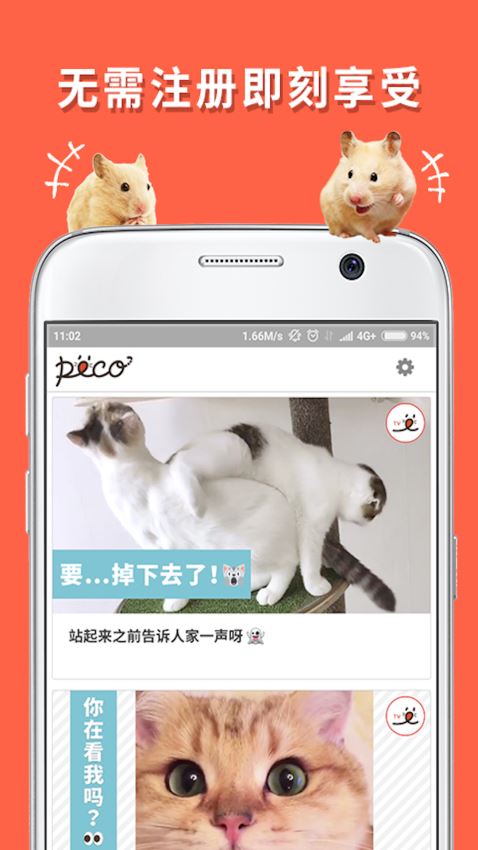 朋宠PECO