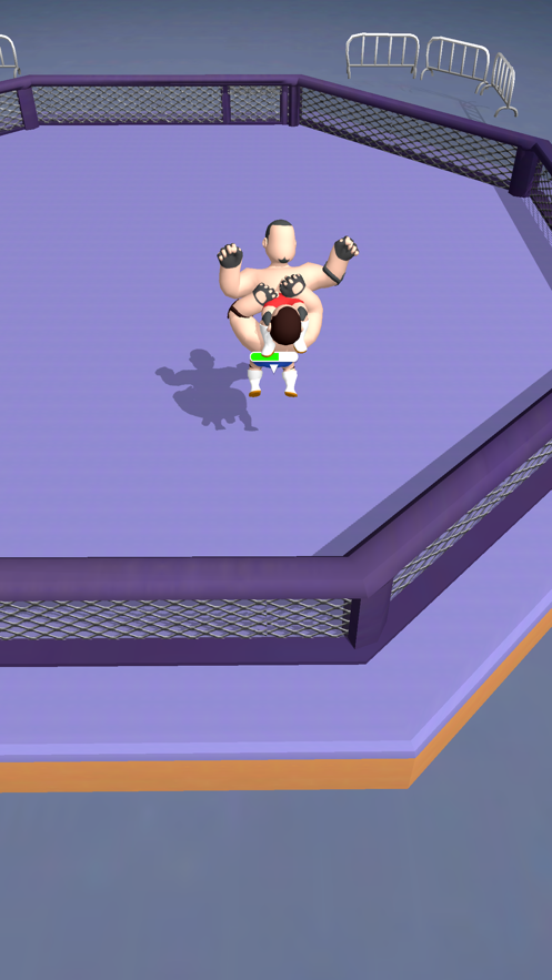 超级摔跤手3D