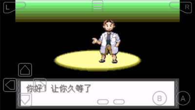 口袋妖怪夜之祭灵