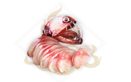 妄图山海毒蛇鱼脍食谱配方和制作方法介绍