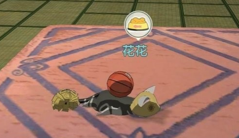 小森生活怎么喂野貓