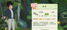 小森生活青魚在哪釣