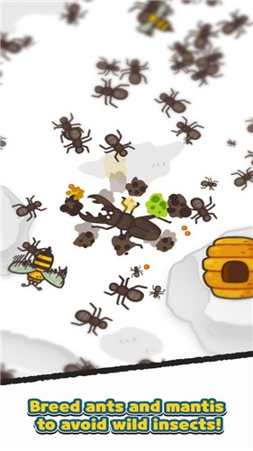 蚂蚁和螳螂