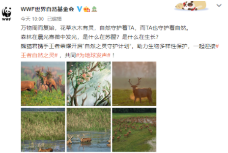 王者榮耀wwf聯(lián)動(dòng)皮膚是誰(shuí)的 wwf聯(lián)動(dòng)皮膚詳細(xì)介紹