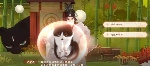 忘川風(fēng)華錄喵靈問答怎么回答能獲得布偶貓