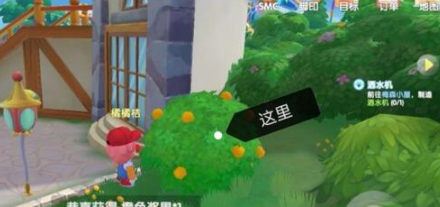 摩爾莊園手游橙色漿果采集位置大全