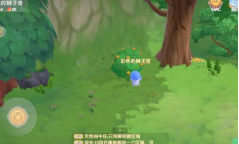 摩爾莊園手游橙色漿果采集位置大全