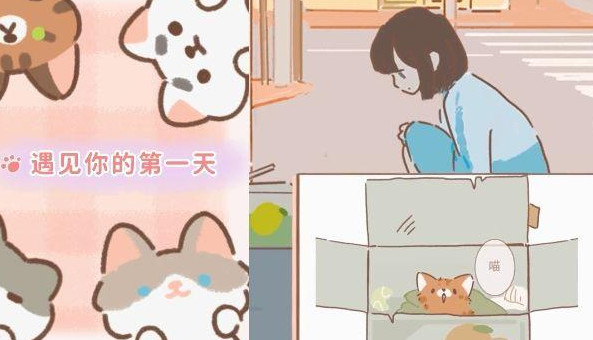 遇見你的貓最新愛心兌換碼大全