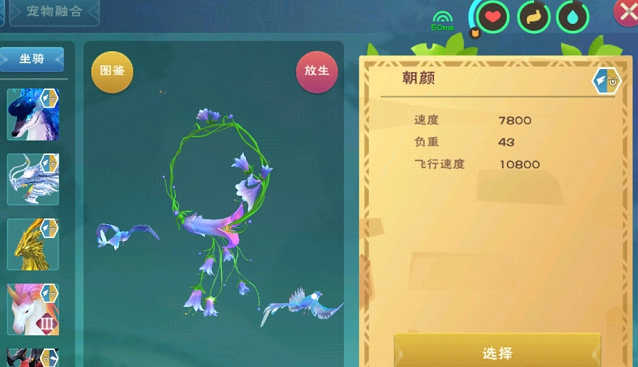 创造与魔法朝颜速度资质一览