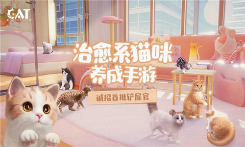 Project Cat手游