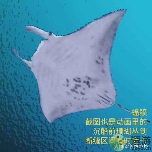一梦江湖伏月节鲸波行生物图鉴一览