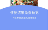 相片恢复大师