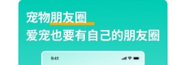 兽兽日记app开发跨平台