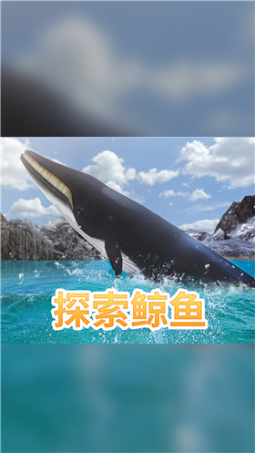 海洋3d蓝鲸模拟