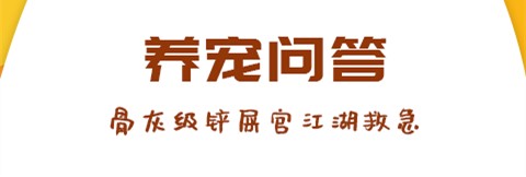 爱宠大陆