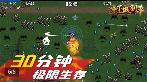 稳住别浪正版