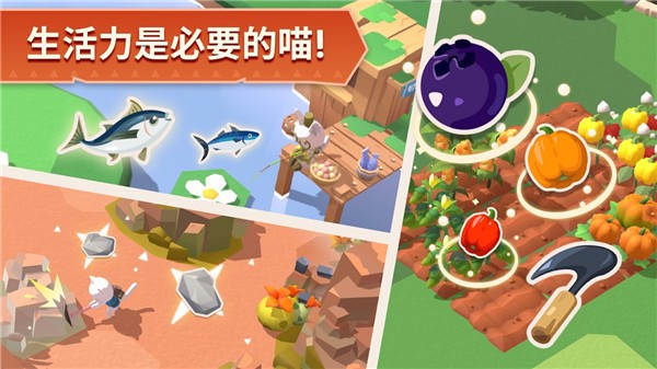 猫岛探险记最新版武汉app开发哪家强