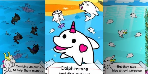 海豚进化