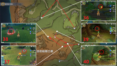 原神須彌雨林奇饋寶箱全收集指南