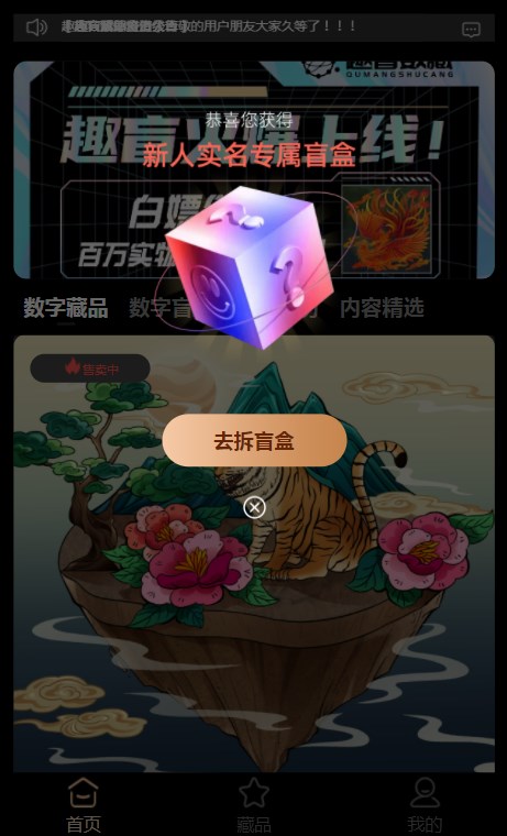 趣盲数藏