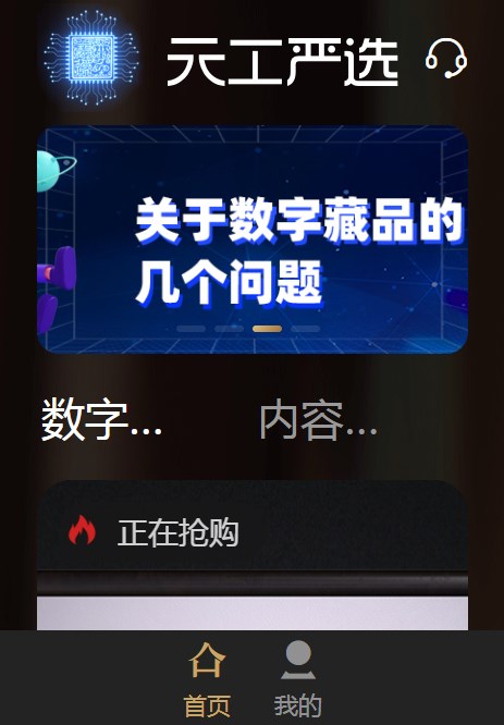 天工严选数字藏品