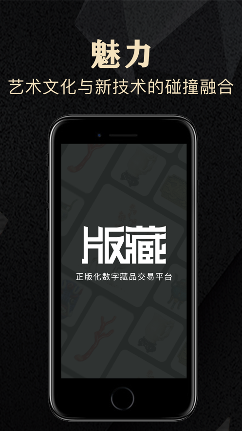 版藏数藏