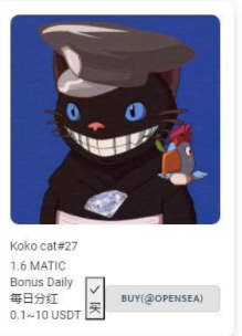 kokocat数字猫