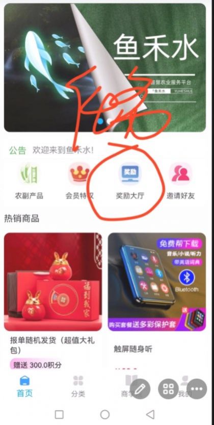 鱼禾水厦门app专业开发