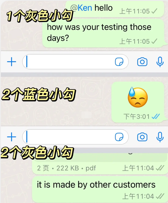 whatsapp安卓最新版