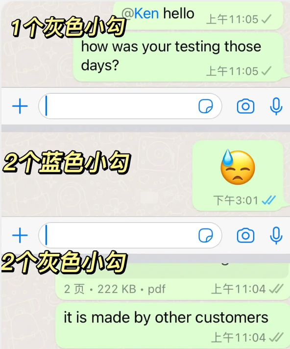 whatsapp最新版2023