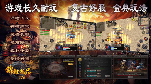 锦鲤极品176