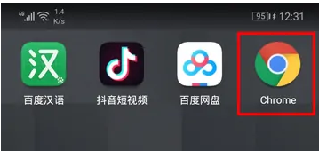 Chrome浏览器中国版广州app软件开发费用