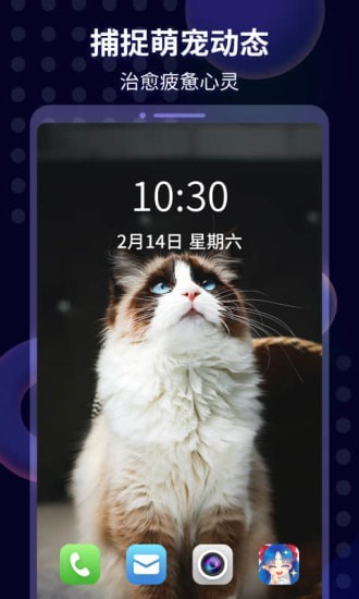 壁紙醬