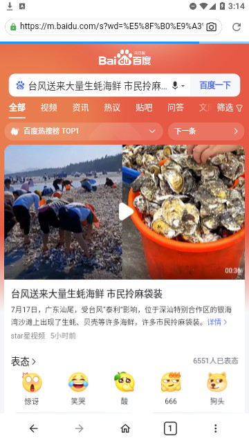 文件隐私浏览器