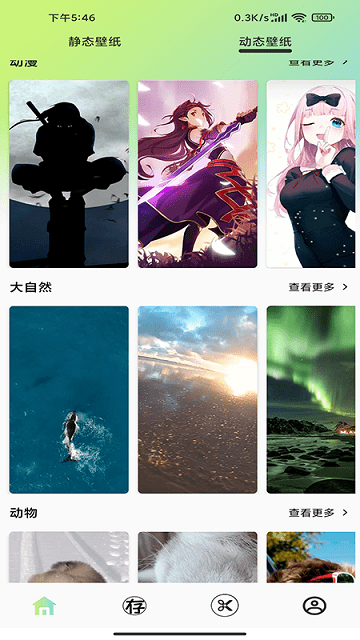 光影存图